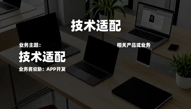 技术适配中的常见问题及应对策略